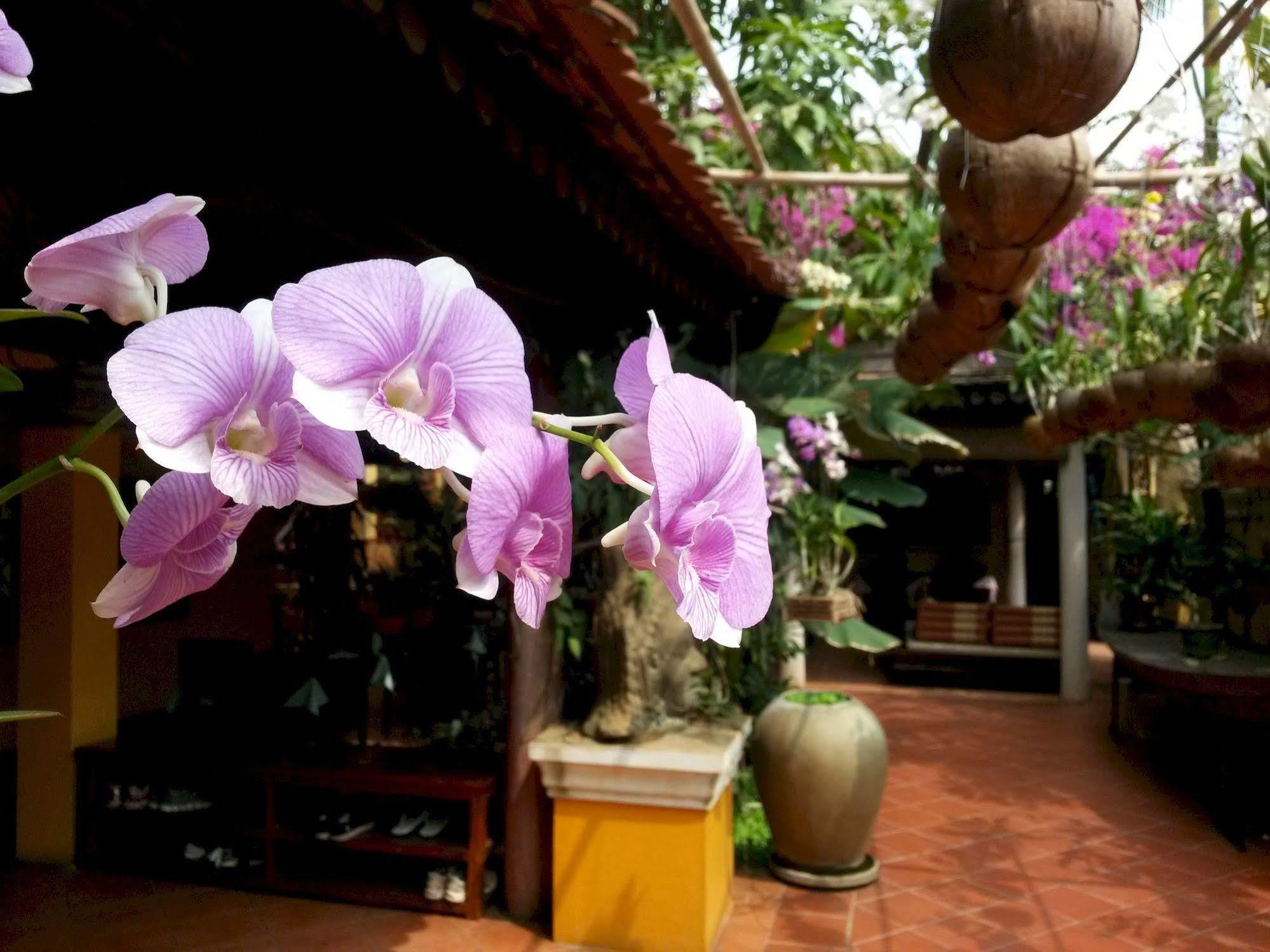 Robam Inn Siem Reap Exterior photo